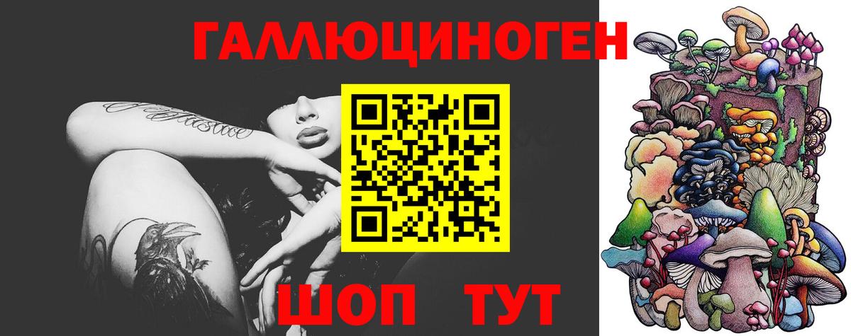 Псилоцибиновые грибы Psilocybine cubensis  Вход с VPN  Муром 